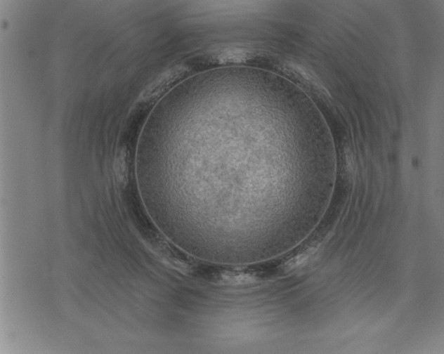 X0000075830311200609221646