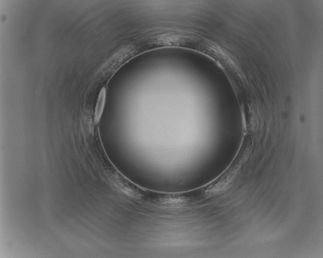 X0000075830313200609221646