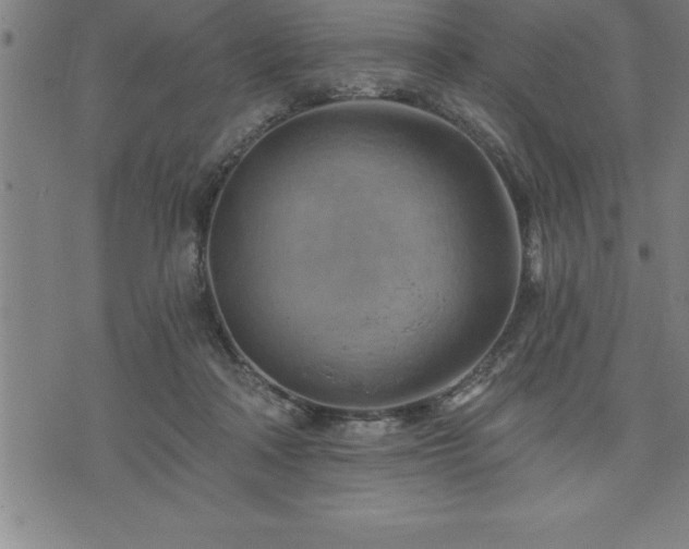 X0000075830314200609221646