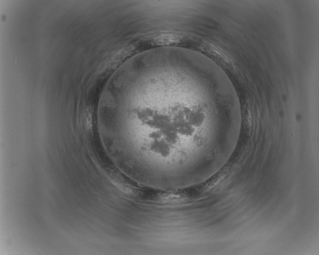 X0000075830315200609221646