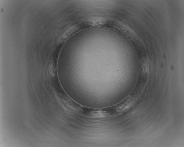 X0000075830316200609221646