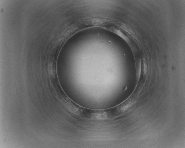 X0000075830317200609221646