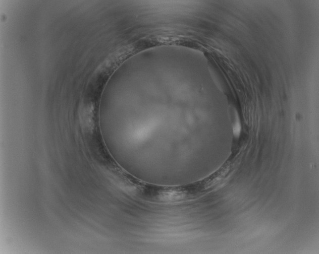 X0000075830319200609221646