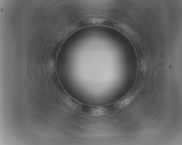 X0000075830321200609221646