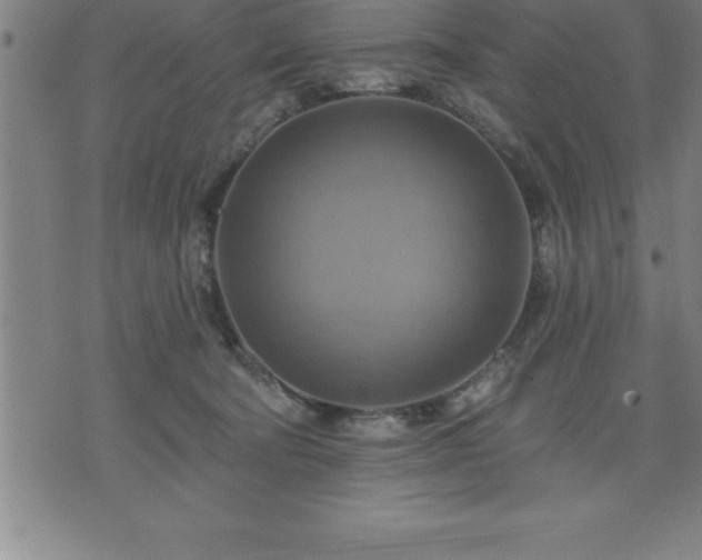 X0000075830322200609221646