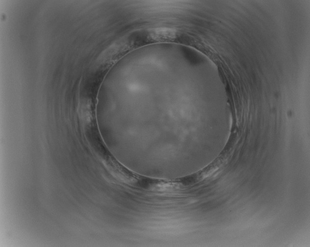 X0000075830323200609221646