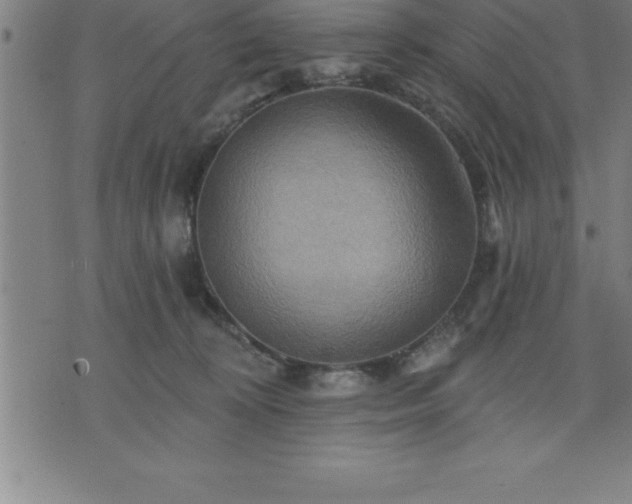 X0000075830324200609221646