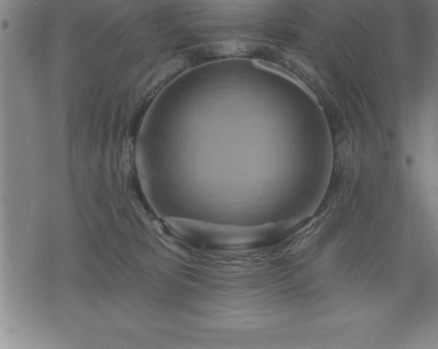 X0000075830325200609221646