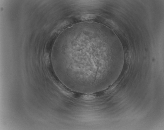 X0000075830327200609221646