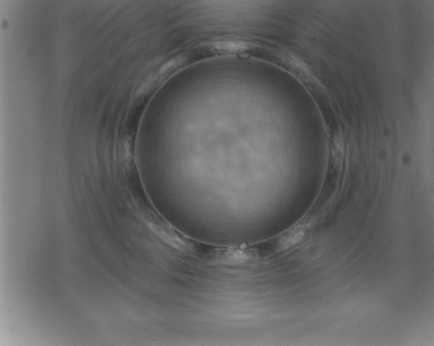 X0000075830330200609221646