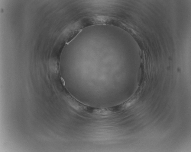 X0000075830331200609221646