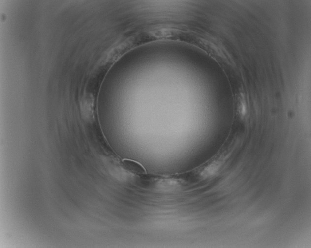 X0000075830332200609221646