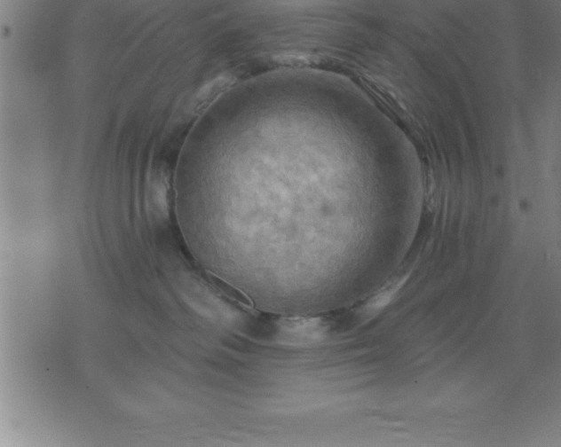 X0000075830334200609221646