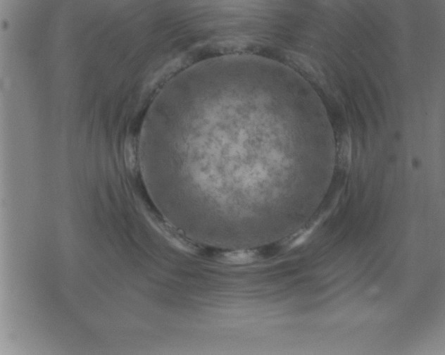 X0000075830335200609221646