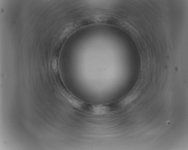 X0000075830336200609221646