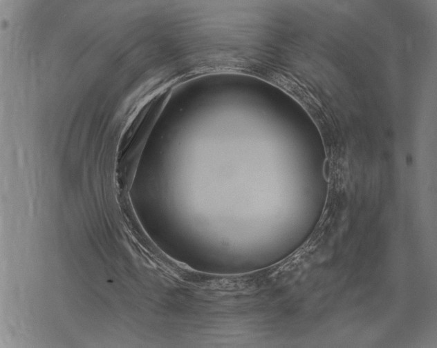 X0000075830338200609221645