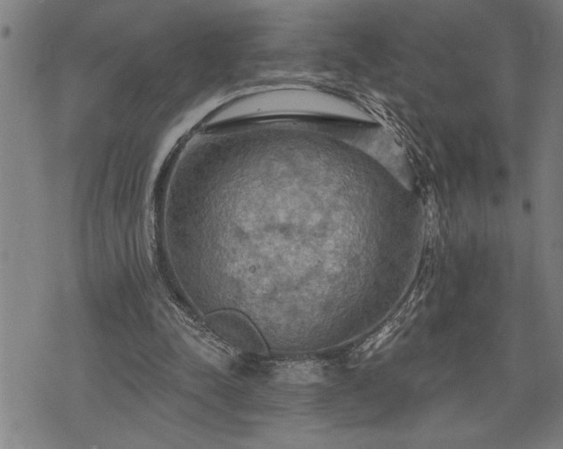 X0000075830342200609221645