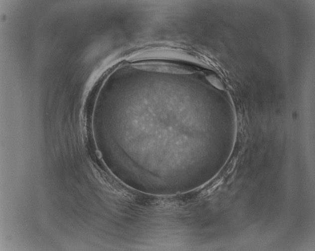 X0000075830343200609221645