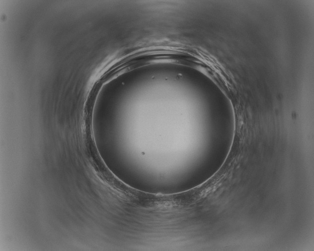 X0000075830344200609221645