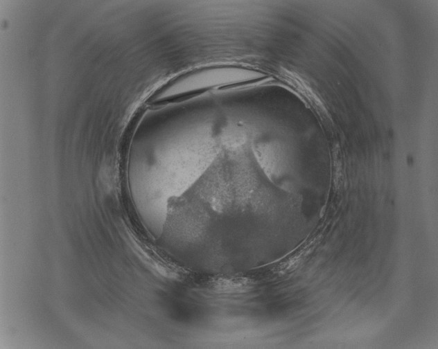 X0000075830346200609221645