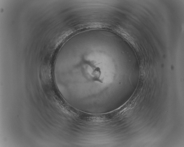 X0000075830347200609221645