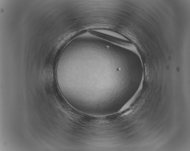 X0000075830348200609221645