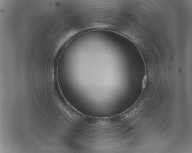 X0000075830350200609221645