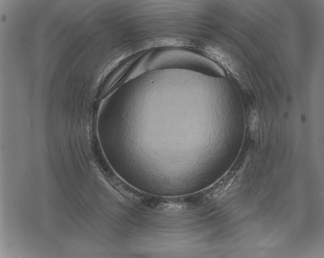 X0000075830352200609221645