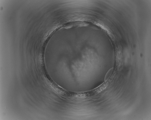 X0000075830353200609221645