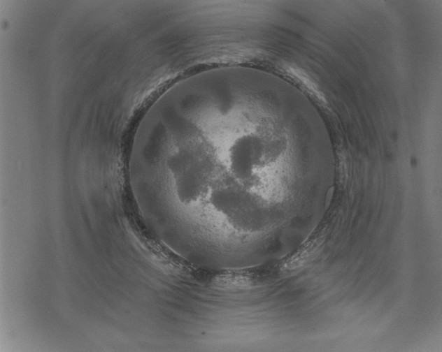 X0000075830354200609221645