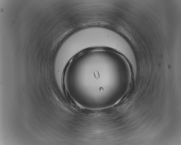 X0000075830356200609221645