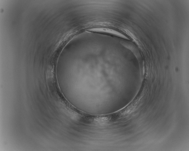 X0000075830357200609221645