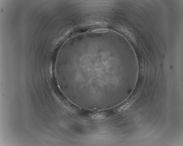 X0000075830358200609221646