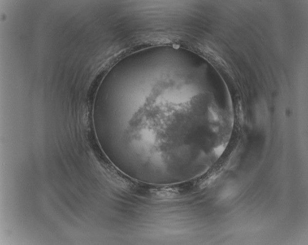 X0000075830359200609221646