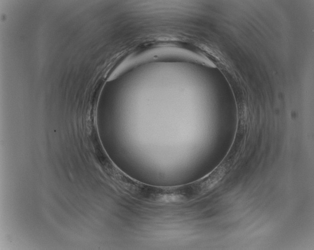 X0000075830360200609221646