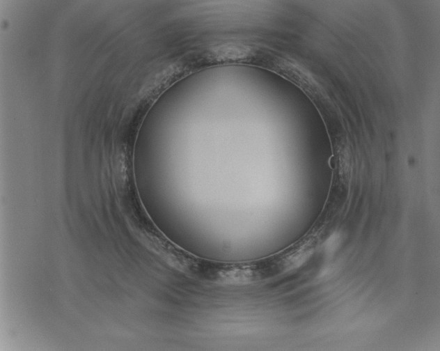 X0000075830362200609221646