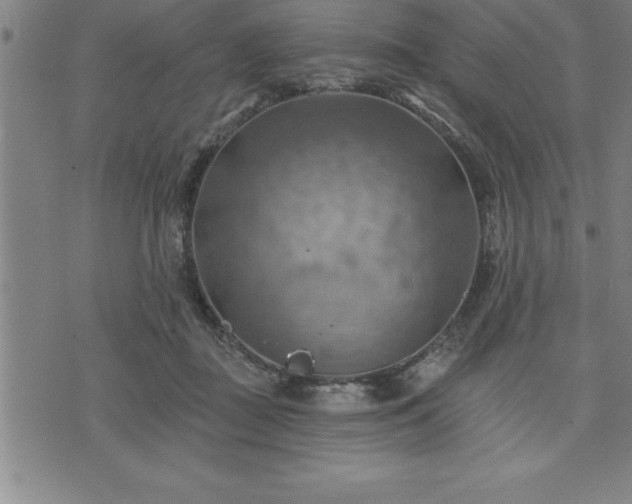 X0000075830363200609221646