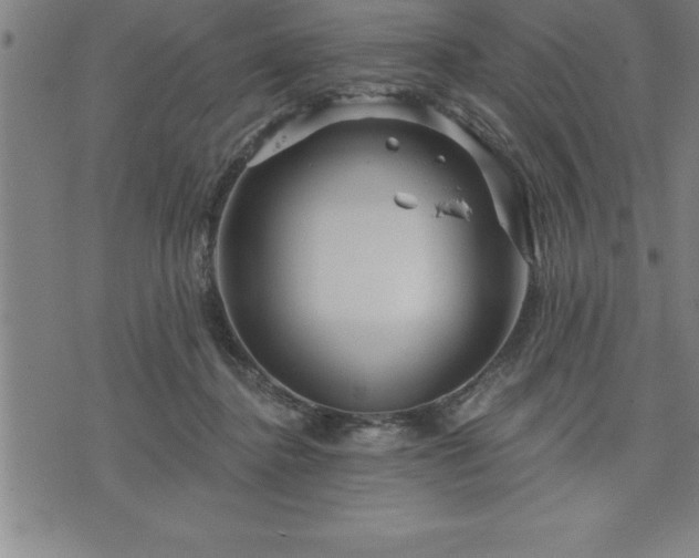 X0000075830364200609221646