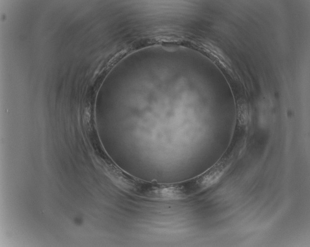 X0000075830365200609221646