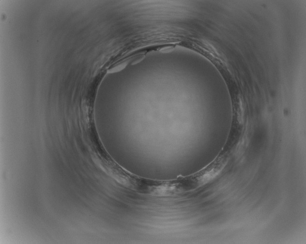 X0000075830366200609221646