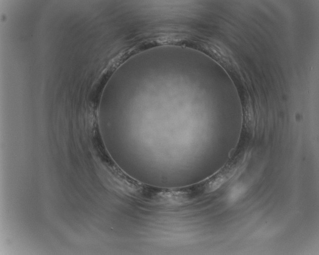 X0000075830367200609221646