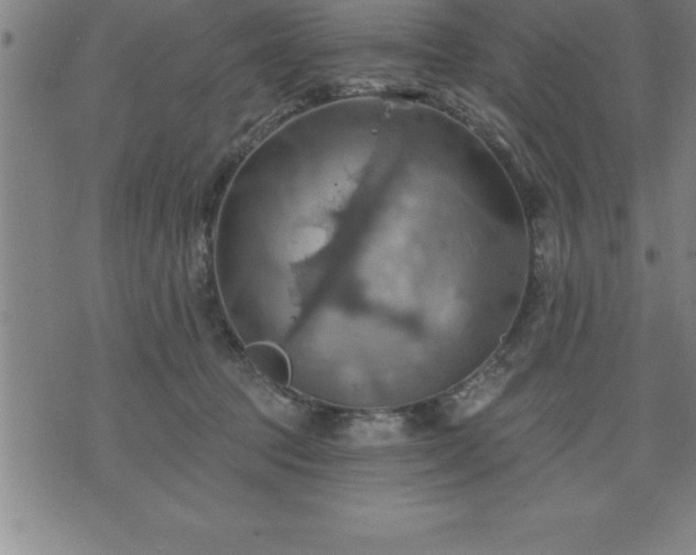 X0000075830369200609221646