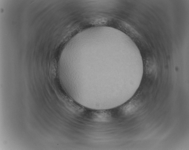 X0000075830370200609221646