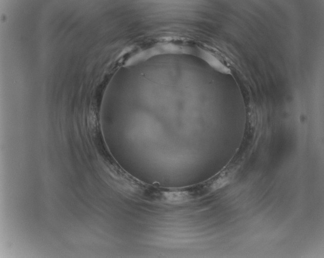 X0000075830371200609221646