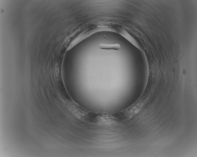 X0000075830372200609221646