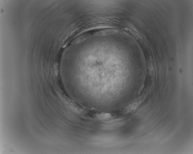 X0000075830374200609221646