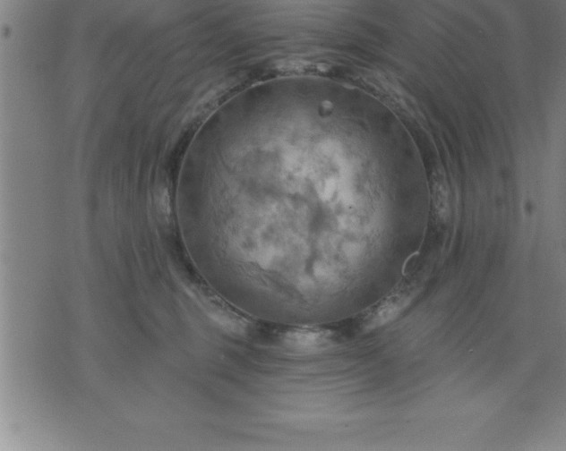 X0000075830375200609221646