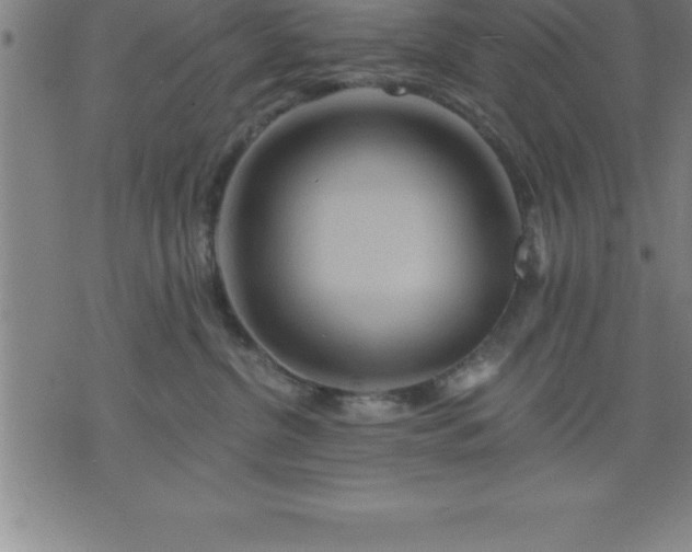 X0000075830380200609221646