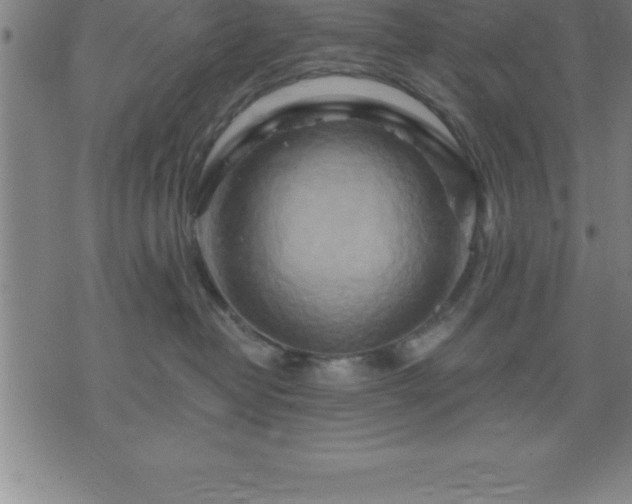 X0000075830382200609221646