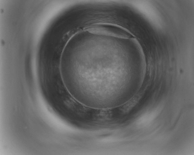 X0000075830383200609221646